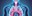 Respiratory Physiotherapy at Essendon Physio Group